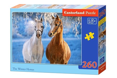 The winter horses 260